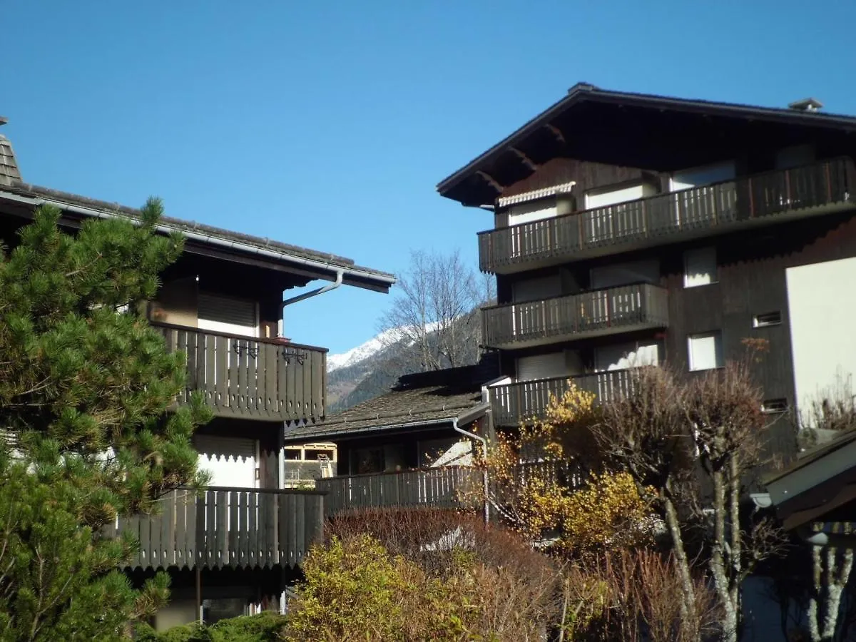 Charmant Appartement A Chamonix Avec Balcon, Animaux Admis, Parking - Fr-1-517-12